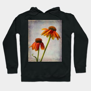 Two Textured Summer Coneflowers Still Life Hoodie